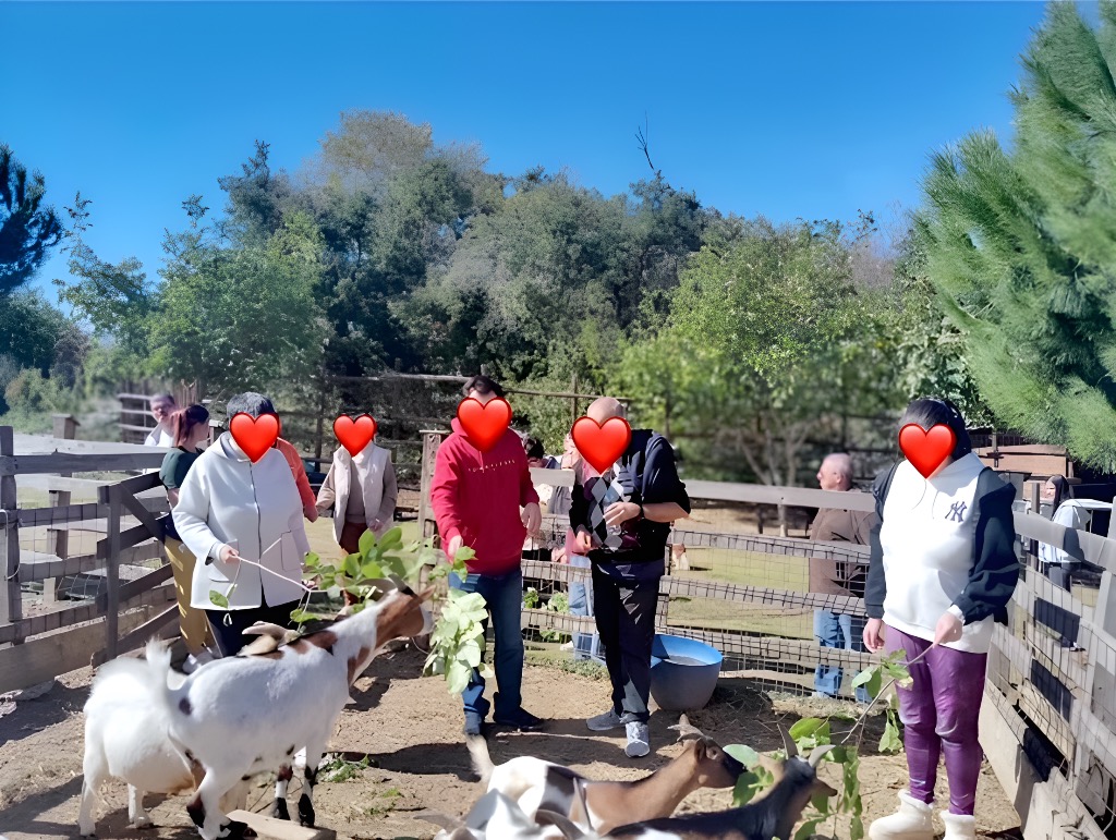 2025 04 03 KDHF Amea Thetrini diatrofh