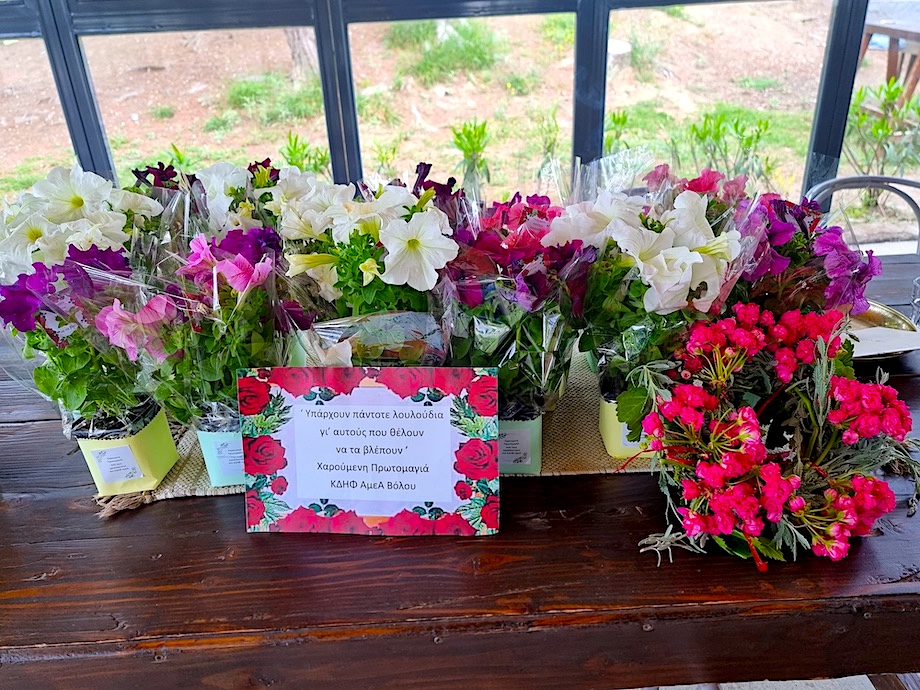 Κέντρο Διημέρευσης & Ημερήσιας Φροντίδας (ΚΔΗΦ ΑμεΑ)