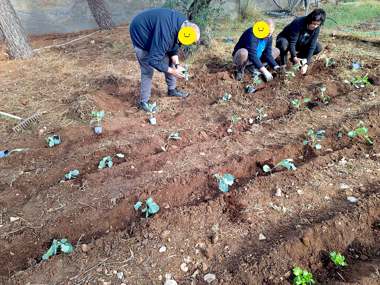 2025 06 06 SYD Evelyn 1